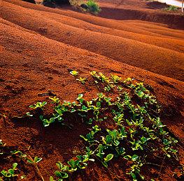 《巨击大乱斗》新角色“Kongkrete”预告 发售平台新增PS5